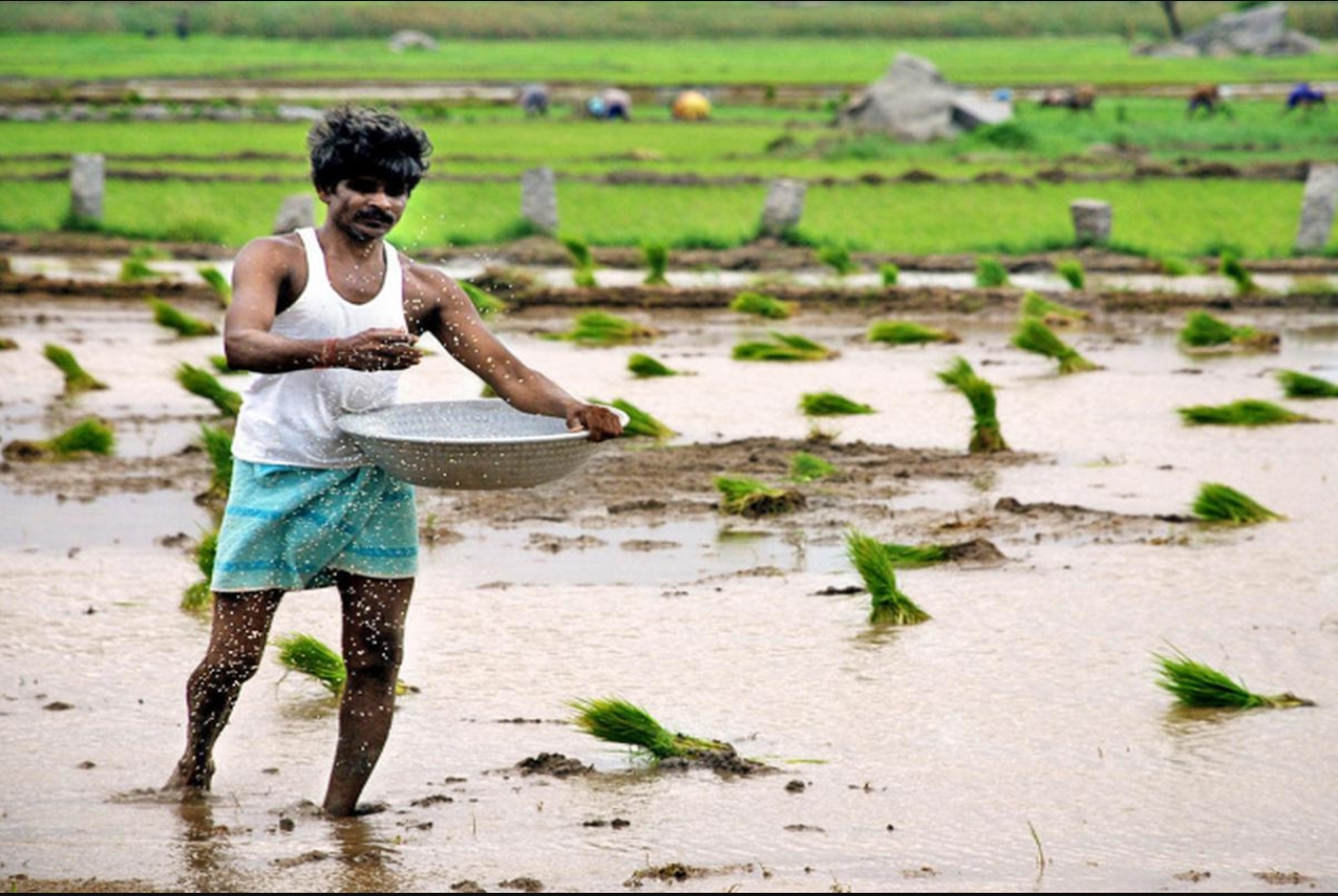 प्रधान मंत्री किसान सम्मान निधि योजना